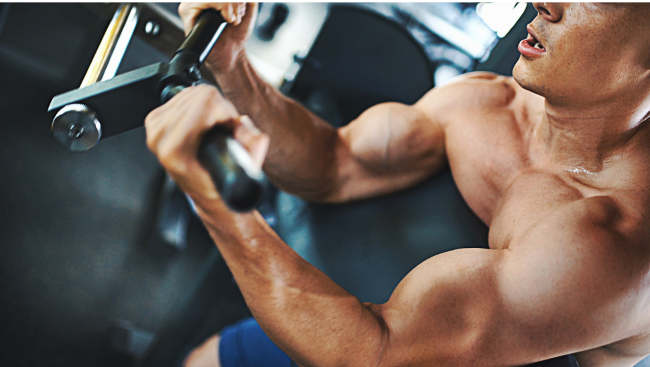 MUSCLE IV Blog The Role of Sleep in Fitness Athlete performing machine curl at a gym